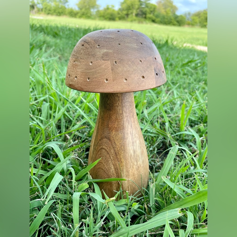 Wooden mushroom fairycore decor